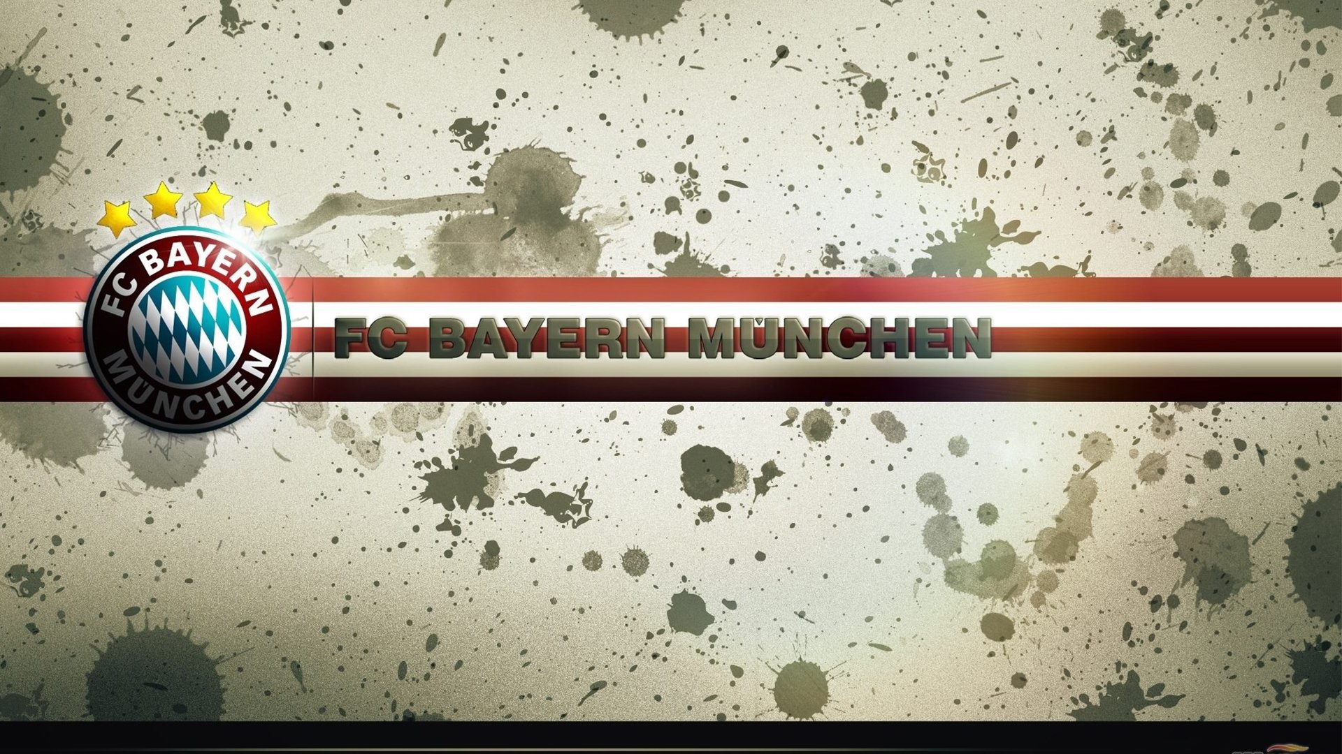 -“雪原冠军：白色王者的荣耀战役”，白色雪原是什么短语类型